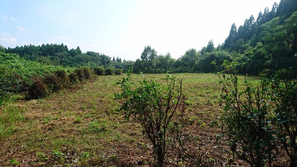 城村城
