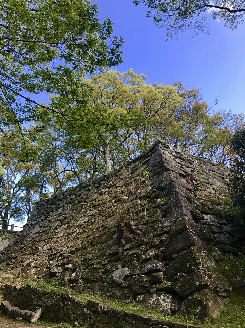 徳島城