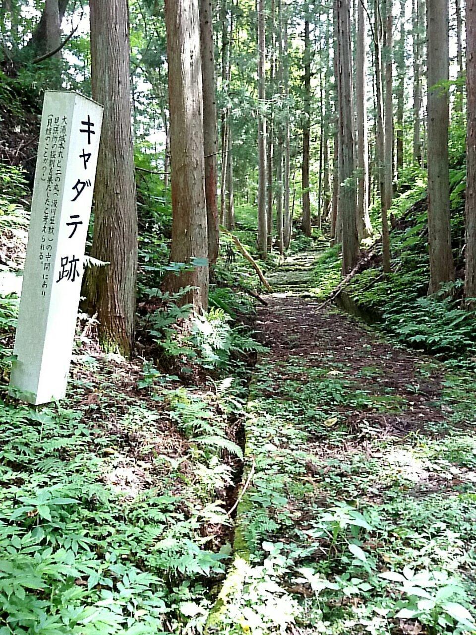 大湯館