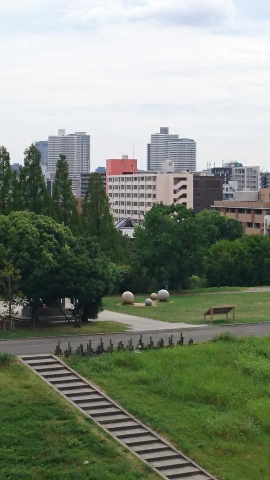 葱生城
