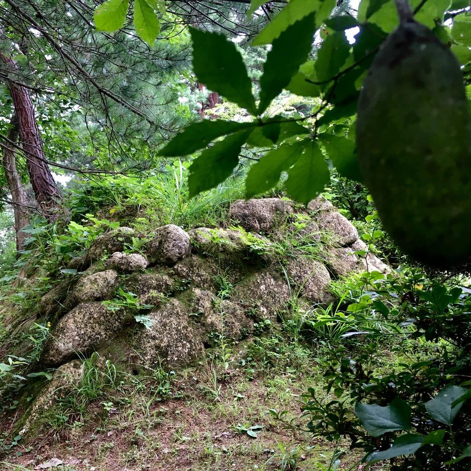松波城