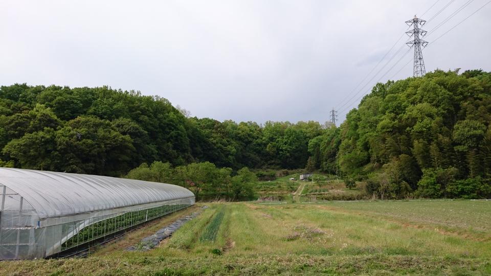 越智城