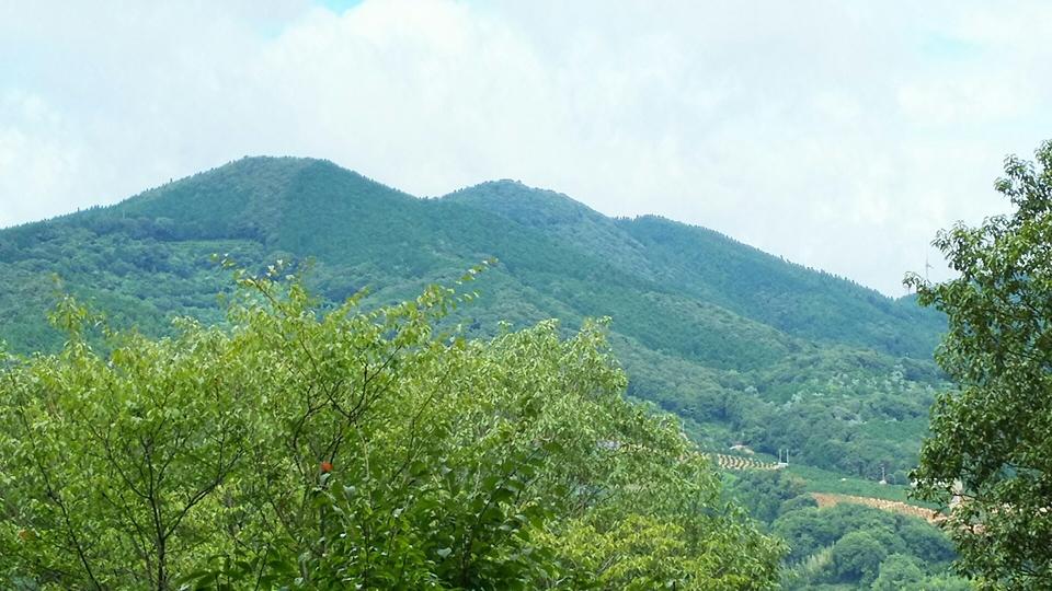 三岳城