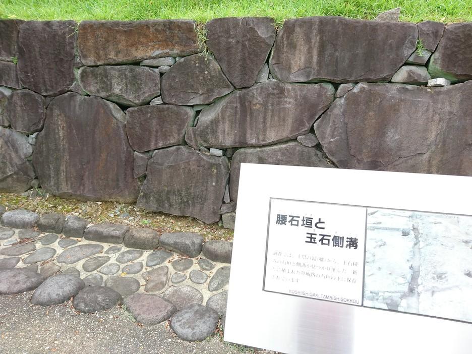 掛川城