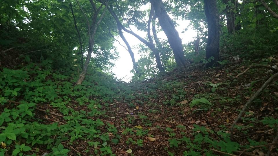 シベチャリ川流域チャシ