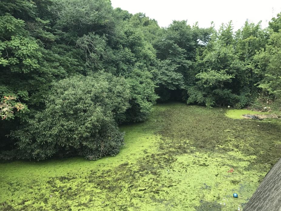 高田城