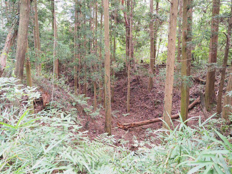 桜洞城