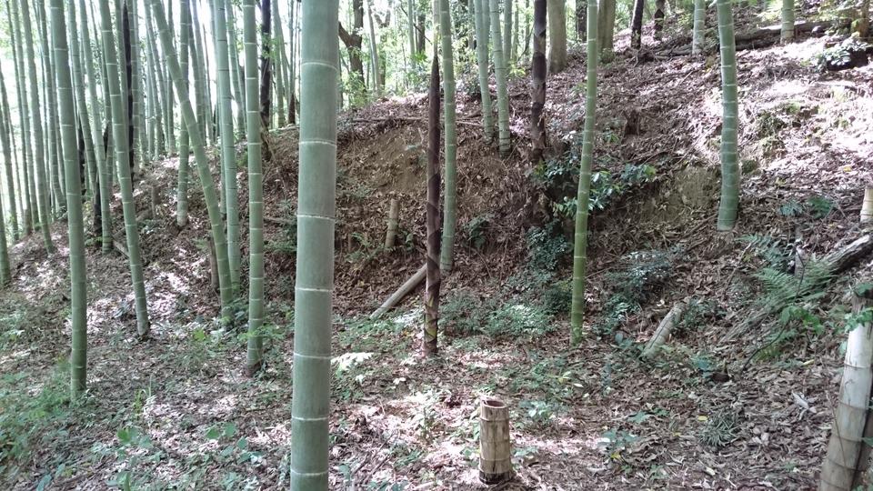 越智城