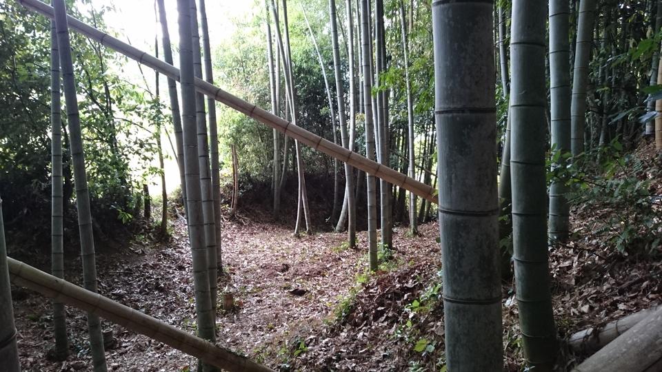 越智城