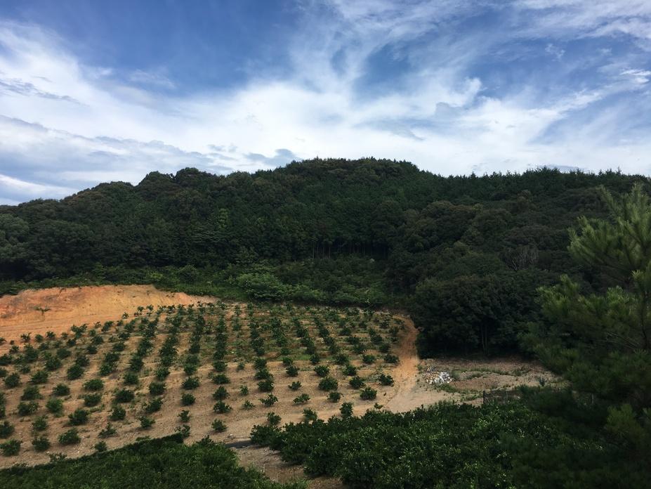 千頭峯城
