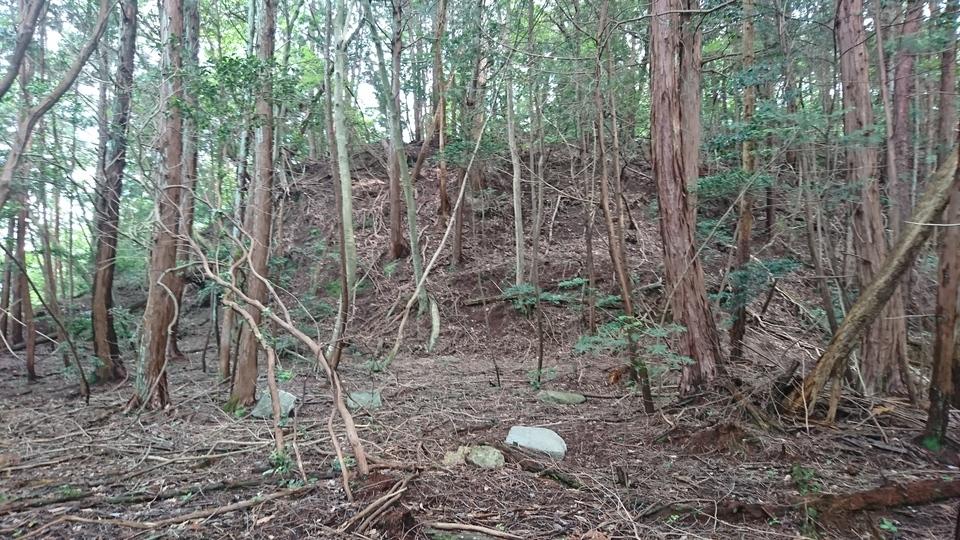 勝山城