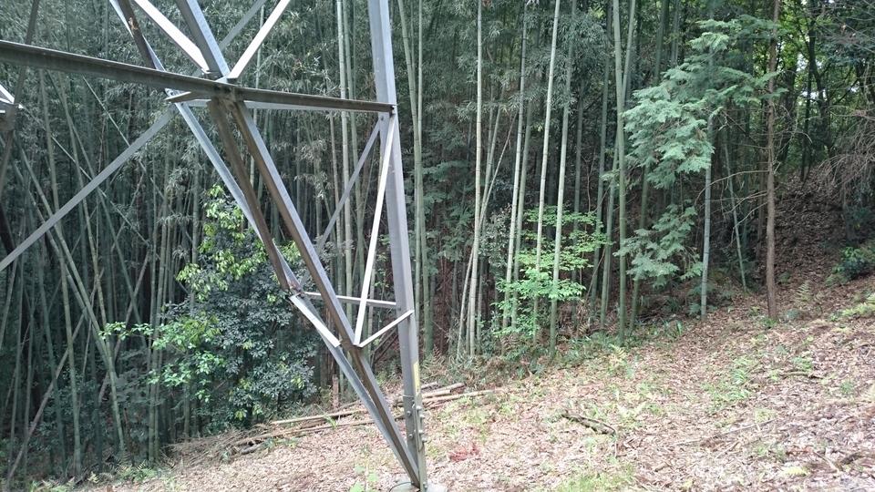 越智城