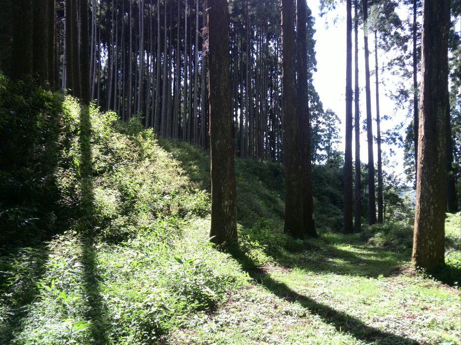 穆佐城