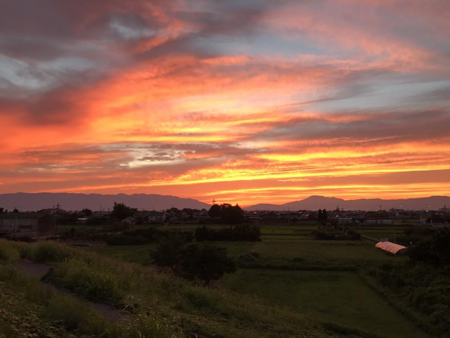 加賀野井城