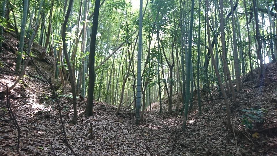 大須和城