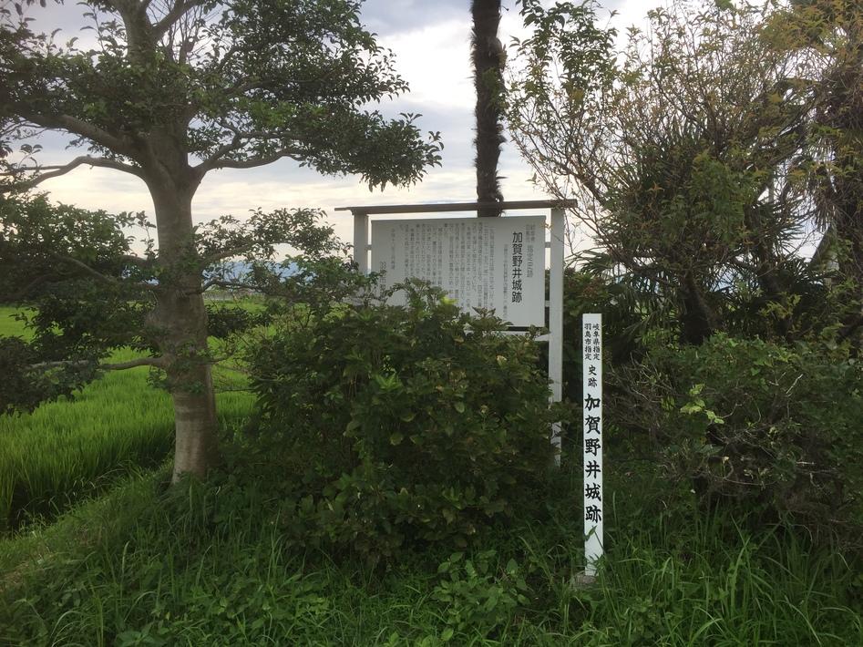 加賀野井城