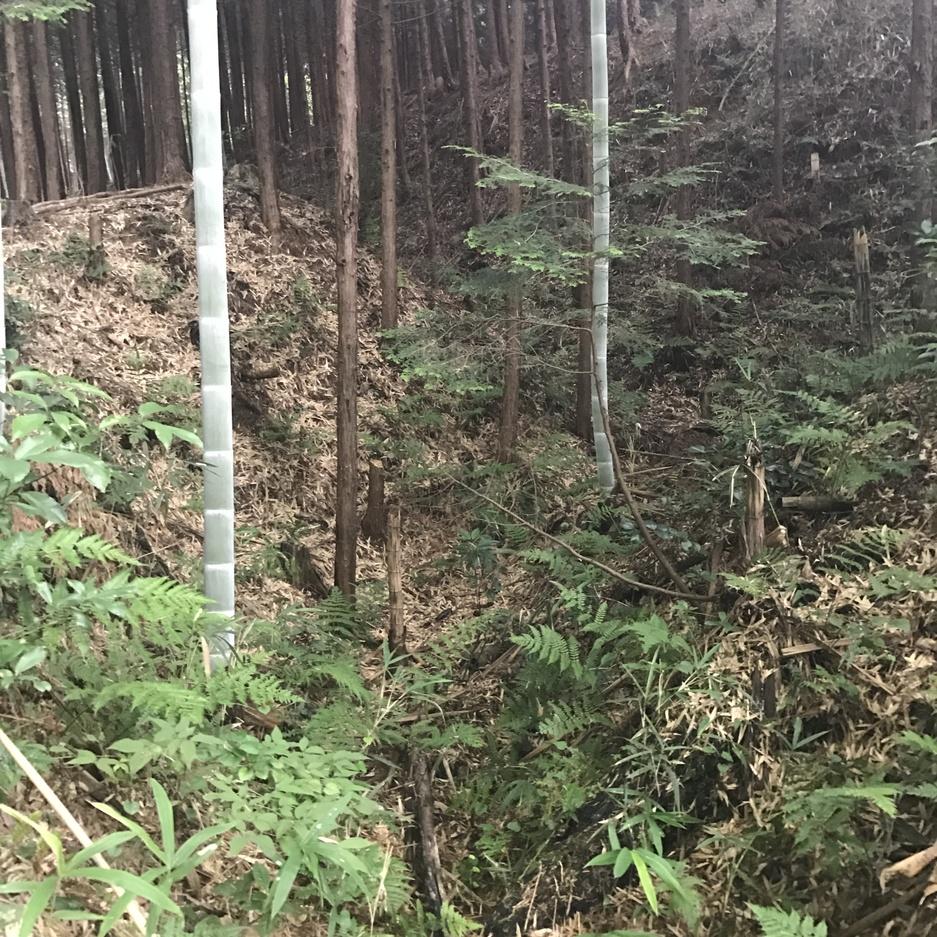 桜町中将城