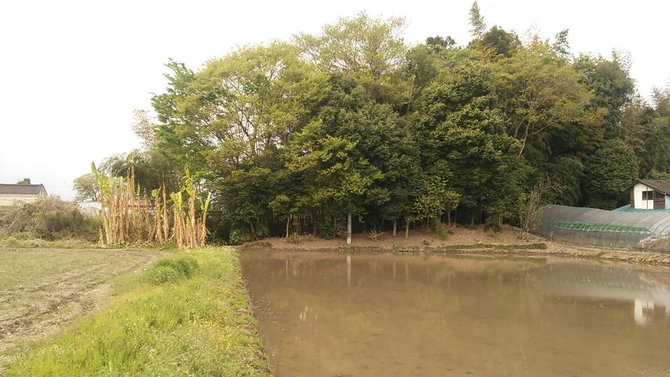 刑部城
