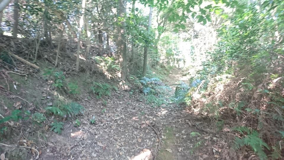 猿喰城