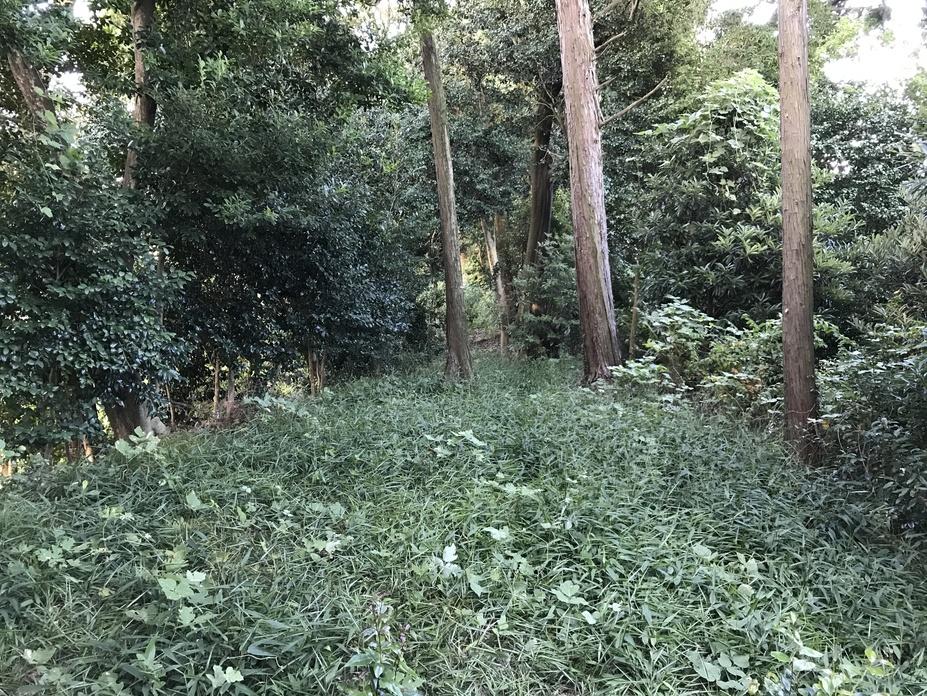 水城
