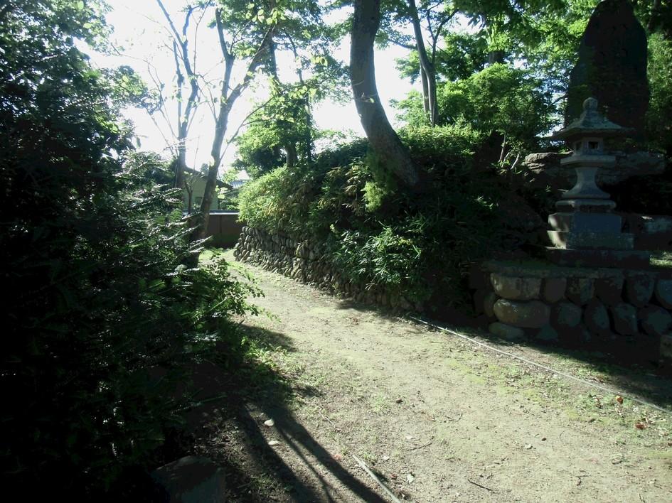 伴野城