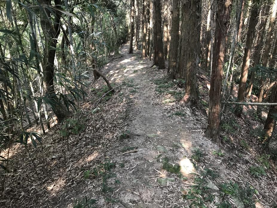 怡土城