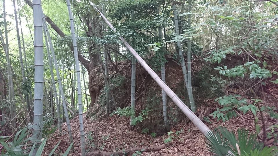 井口城