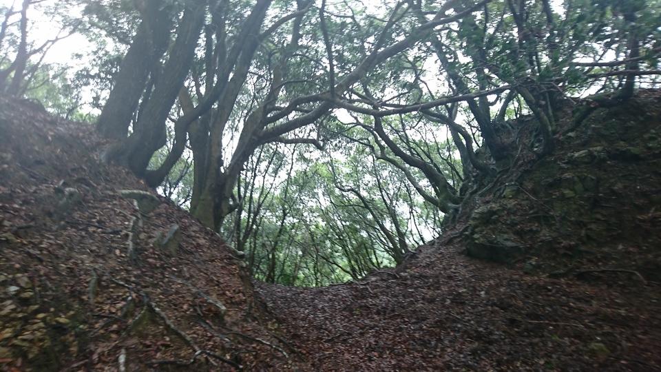天ヶ森城