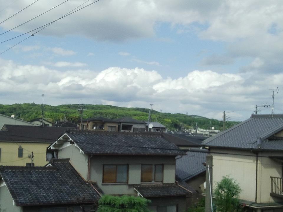 向島城