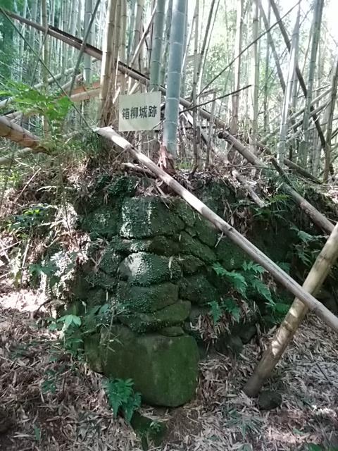 箱柳城