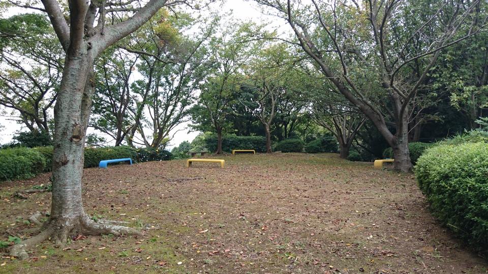 山鹿城