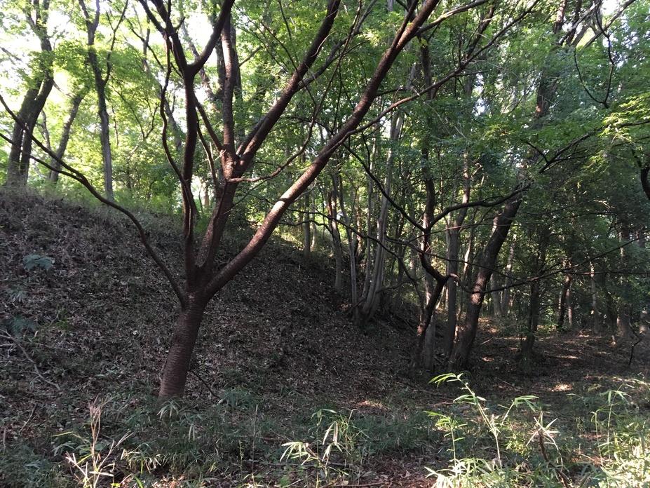高津戸城