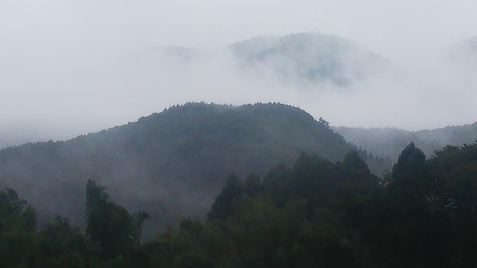 田屋城