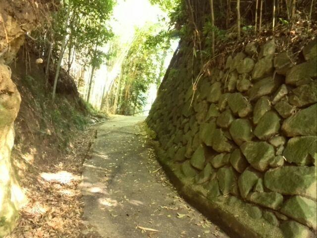 菜畑城