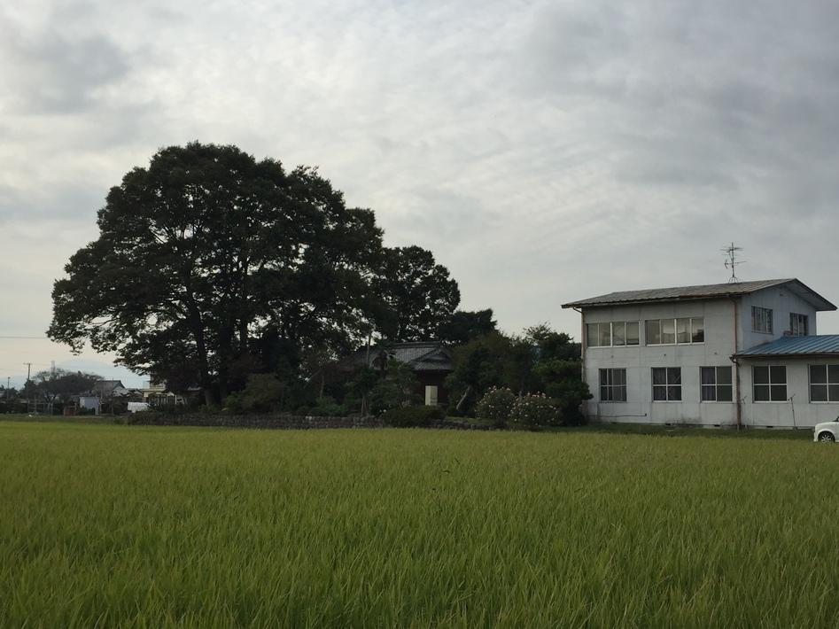 八神城