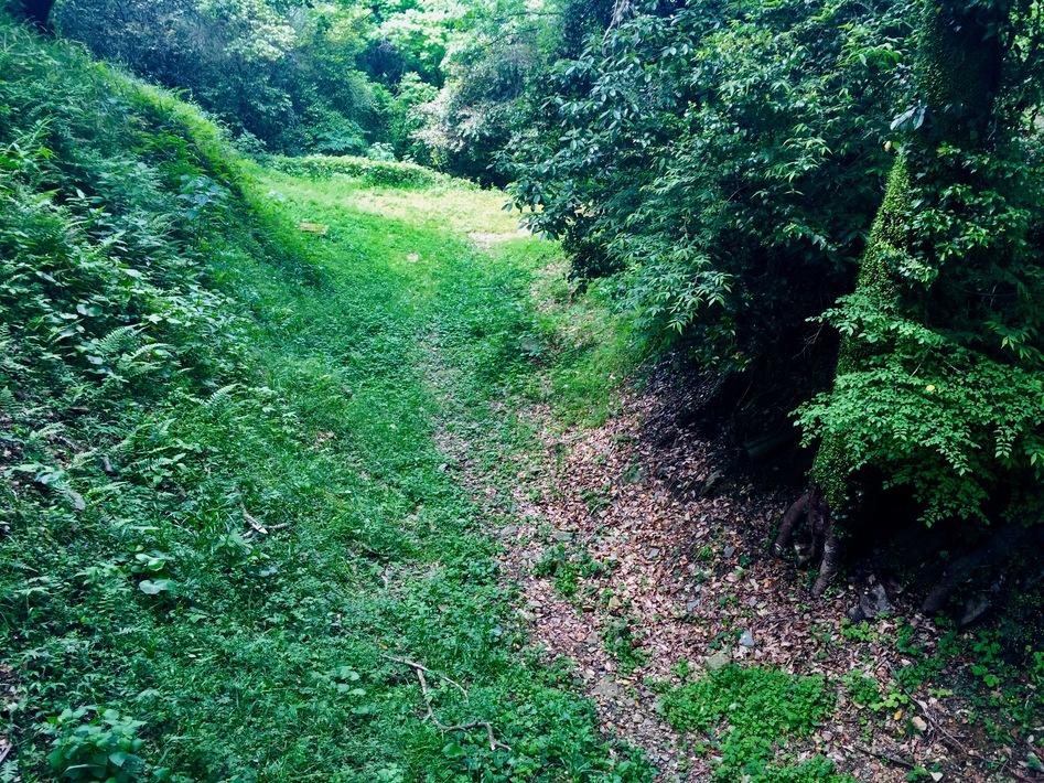 朝日山城