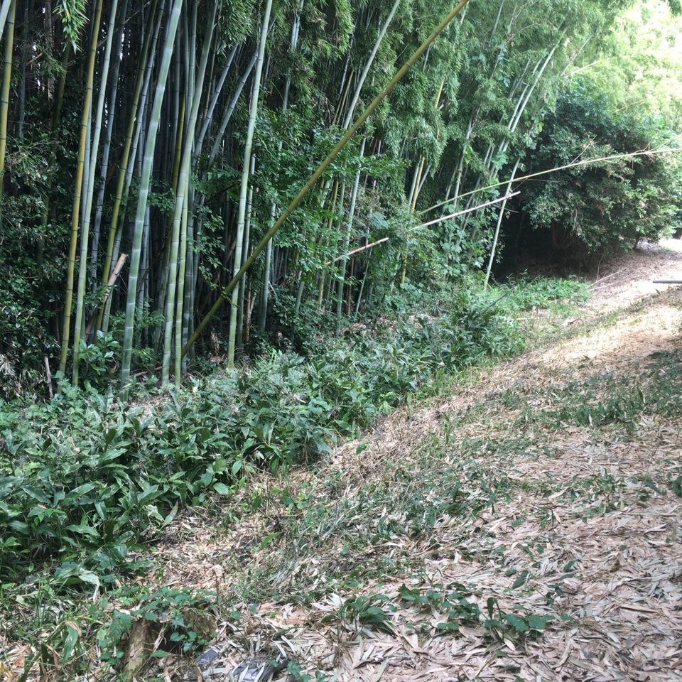 軽海西城
