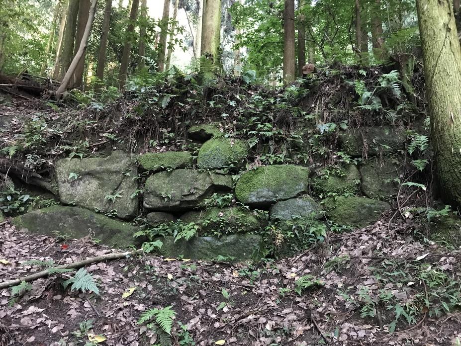 阿志岐山城