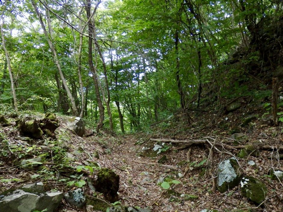 獅子吼城