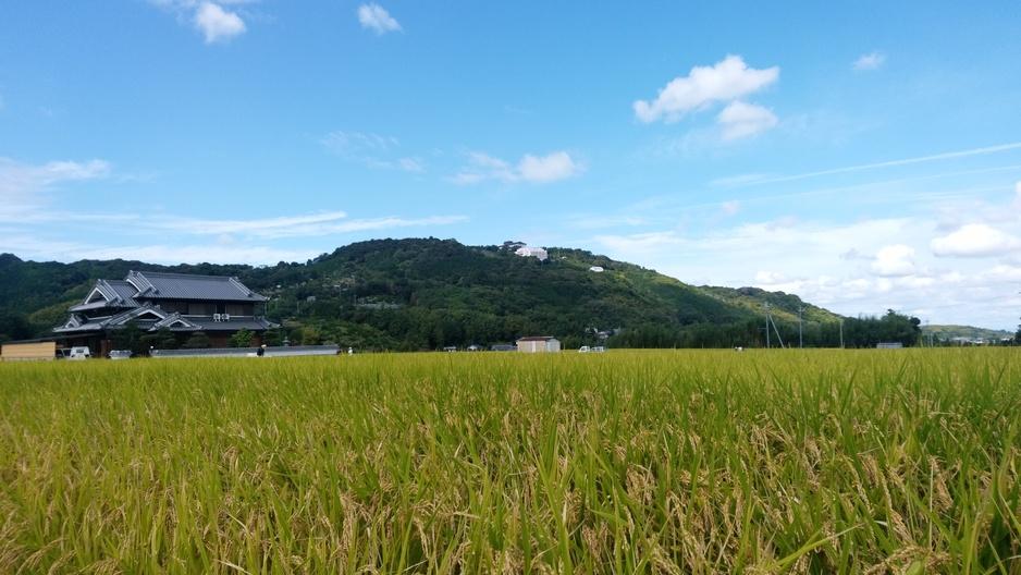 龍泉寺城