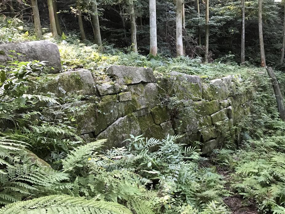 阿志岐山城