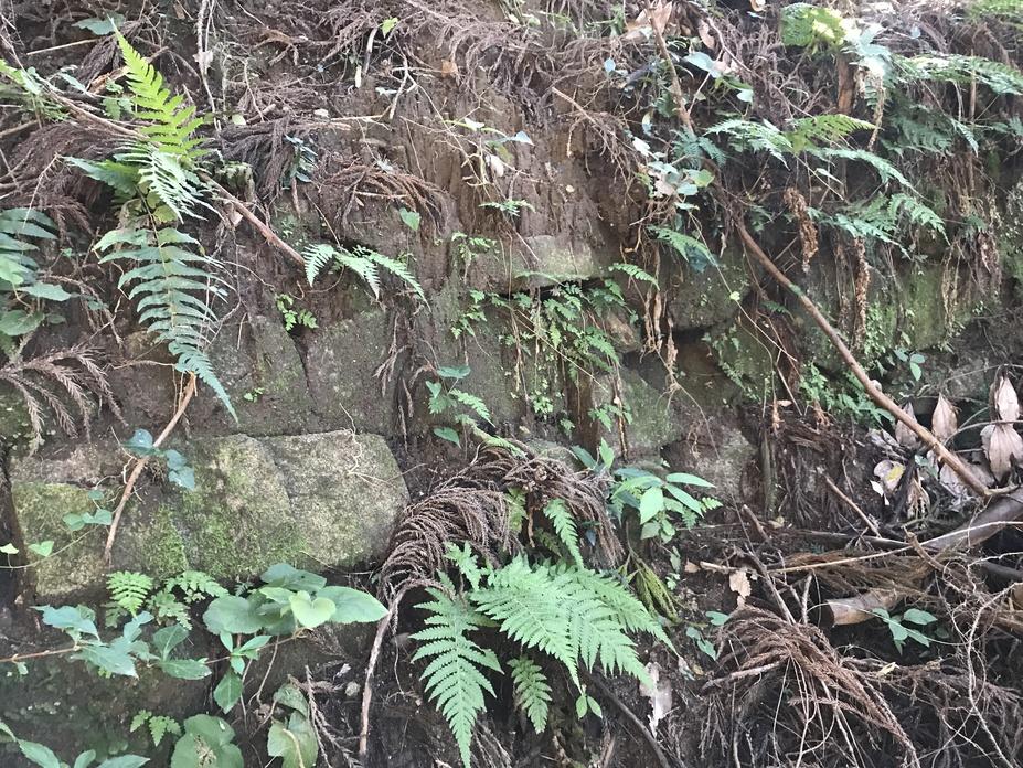 阿志岐山城