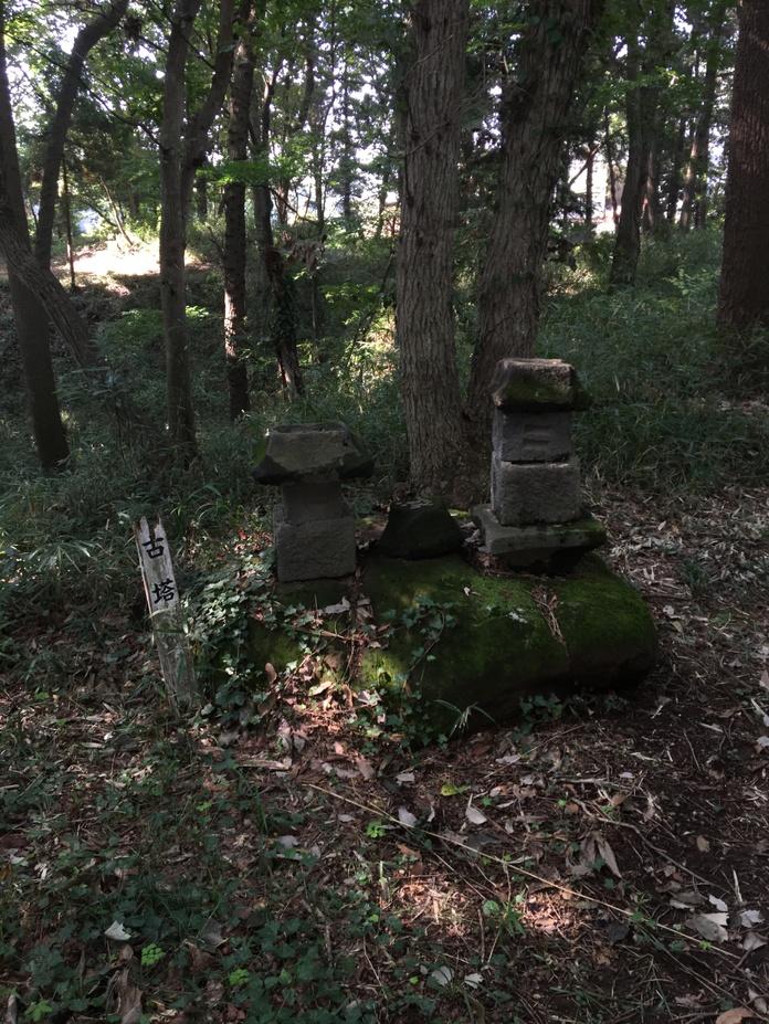 膳城