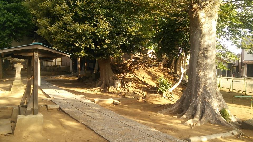 夏見城