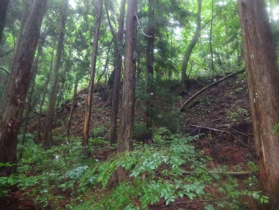 姉帯城