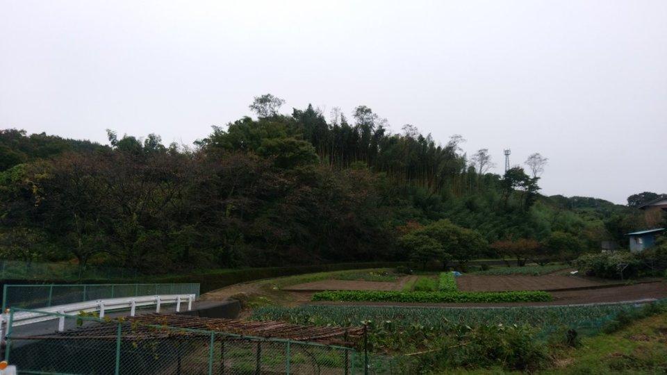 奥平城