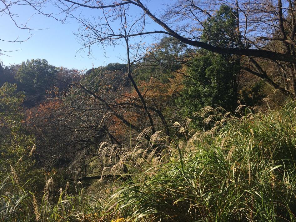 滝山城