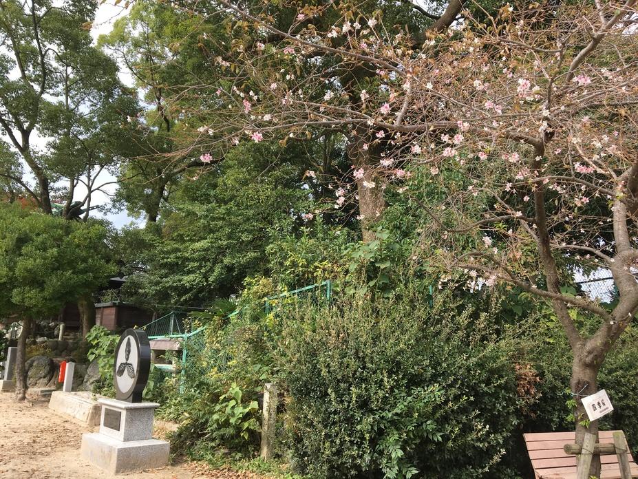岩倉城