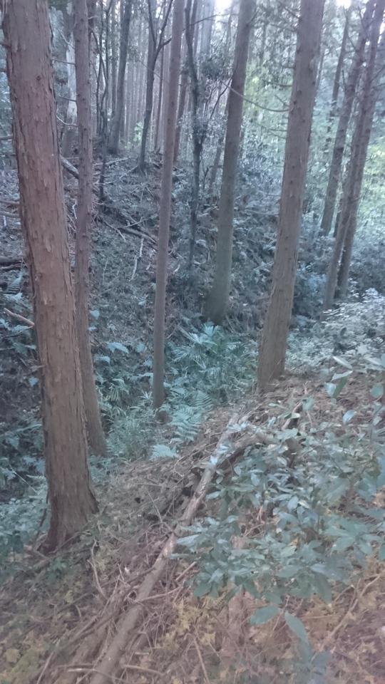 甲賀郡中惣城館