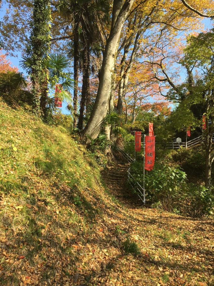 小川城